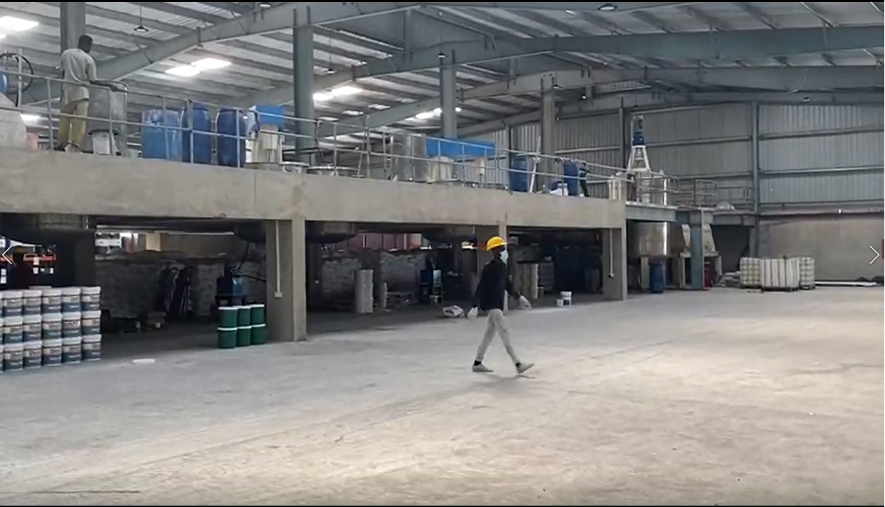 Paint Plants Paint Plants