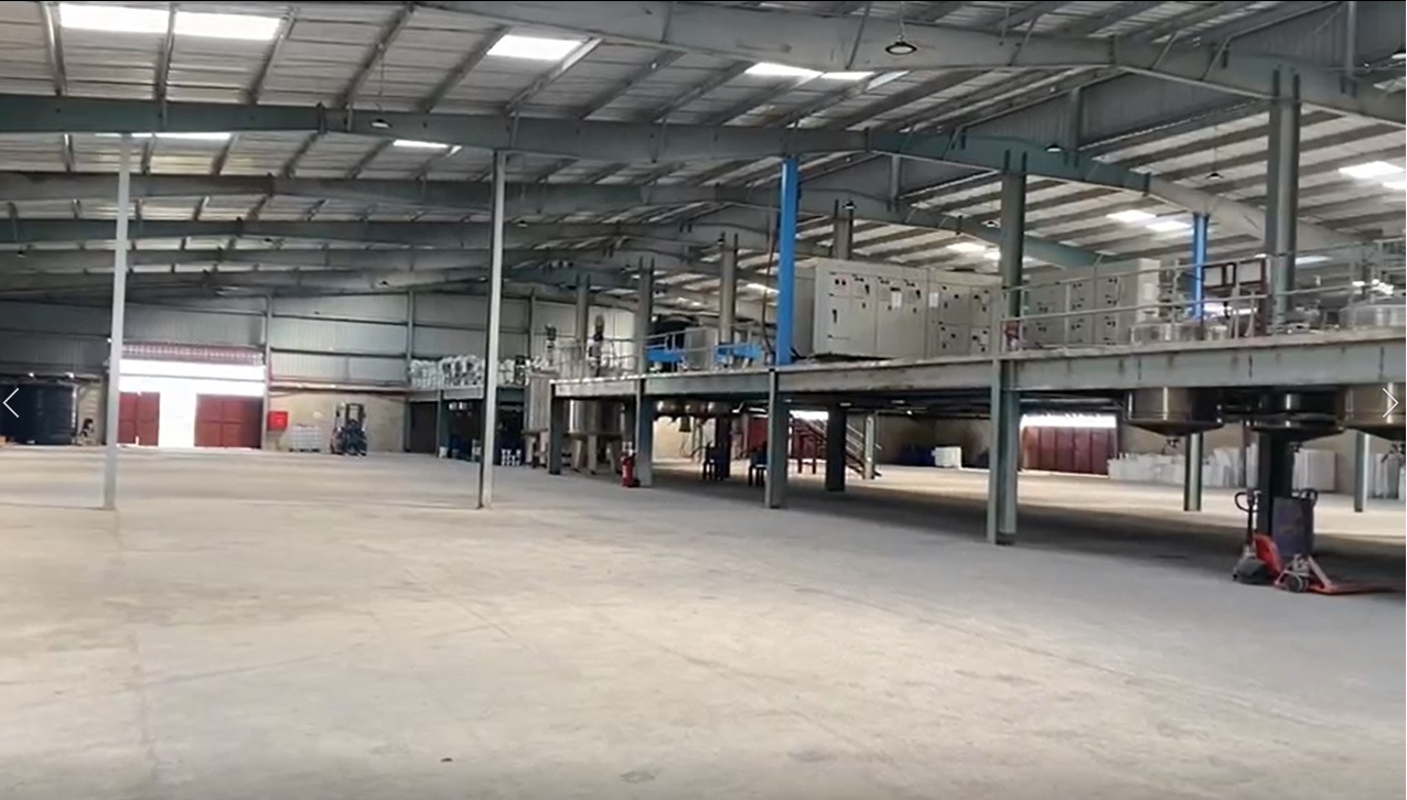 Paint Plants Paint Plants